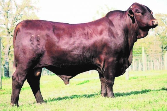 DuBois' Bullseye 0522