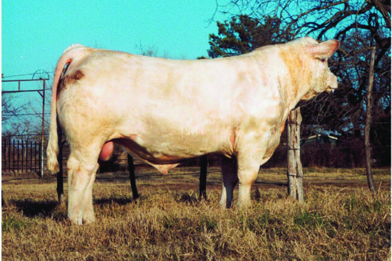 M6 Full Throttle 2138 PET (Signing)
