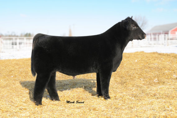 BPF Mercedes Benz 131U