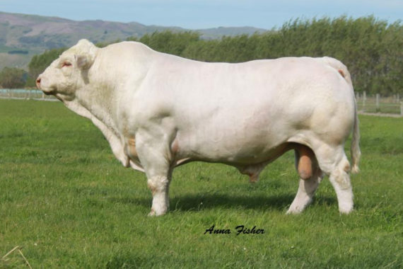 Silverstream Evolution E168