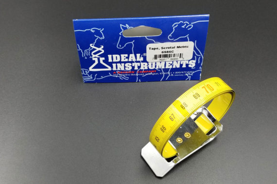 Scrotal Measuring Tape