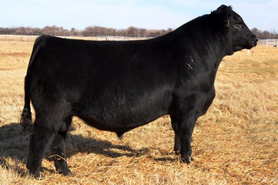 EXAR Denver 2002B (Certificate)