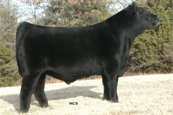 EXAR Titlelist T011 (Certificate)