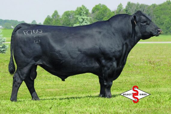 G A R Sunrise R760 (Certificate)