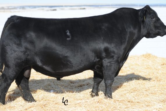 Hoover Dam G18 (Certificate)