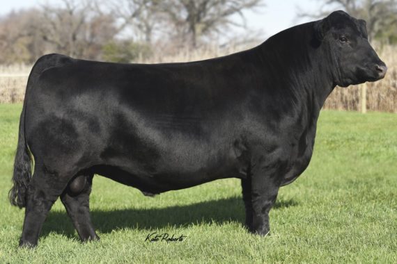 SAC Conversation JS02 (Certificate)