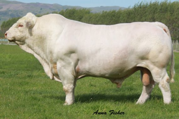 Silverstream Evolution E168 (Signing)