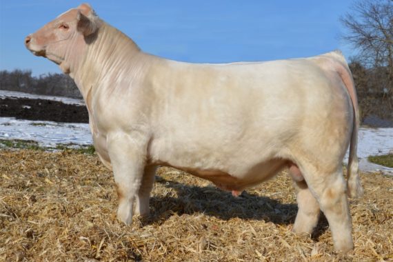 WC CCC Maverick 5117 P ET (Signing)