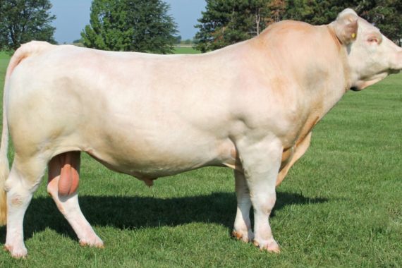 LCOC Polled Value P063S P