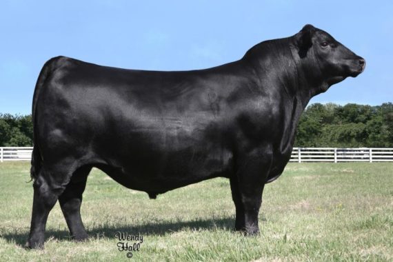 V A R Ranger 3008 (Certificate)