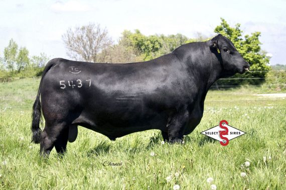 TEX Playbook 5437 (Certificate)