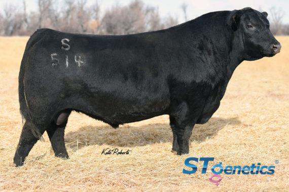 S Foundation 514 (Certificate)