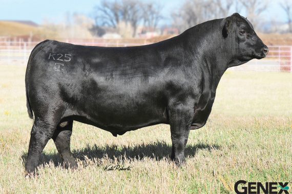 G A R Ashland (Certificate)