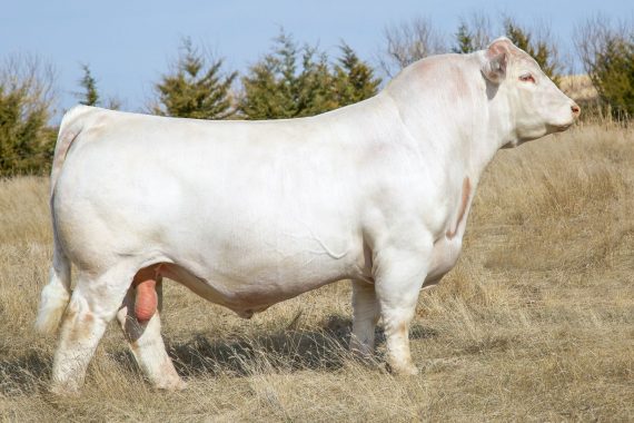 TR CAG Carbon Copy 7630E ET