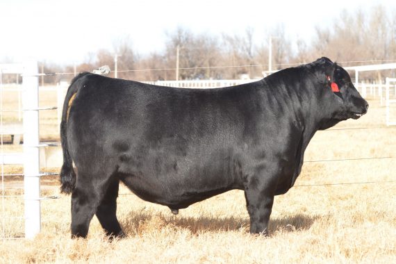 EXAR Rolex 8709B (Certificate)