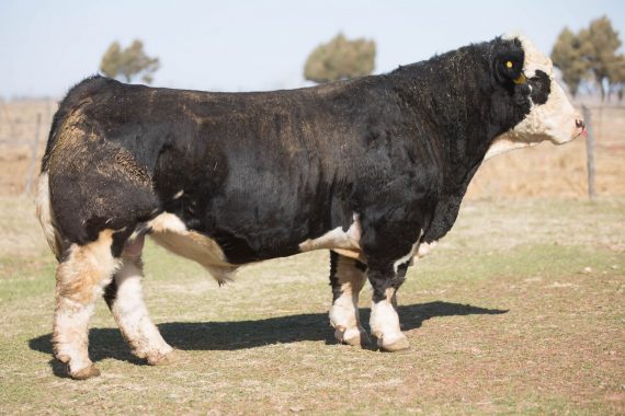 Front & Center