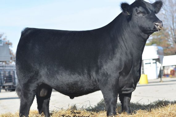 Silveiras S Sis GQ 2353