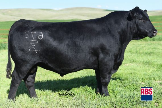 GB Fireball 672
