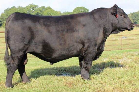 GB Fireball 672 (Certificate)