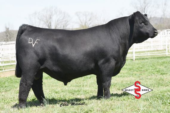 Deer Valley Growth Fund (Certificate)