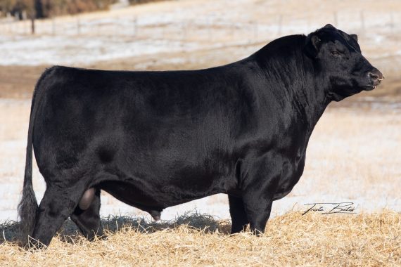 LLJ Touchdown 613 1644