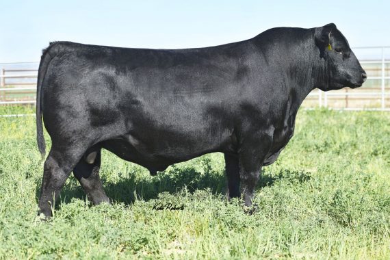 EXAR Stock Fund 9097B (Certificate)