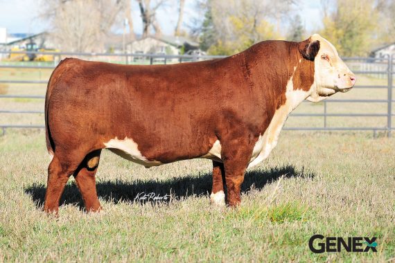 CRR 109 Catapult 322 {DLF,HYF,IEF,MSUDF,MDF} (Certificate))