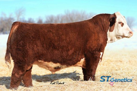 TH Masterplan 183F {DLF,HYF,IEF,MSUDF,MDF} (Certificate)