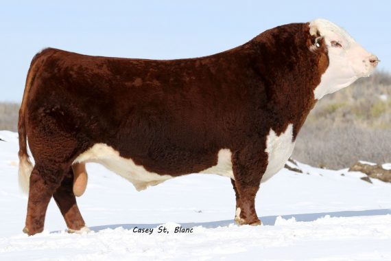 NJW 73S 980 Hutton 109Z ET {DLF,HYF,IEF,MSUDF,MDF} (Certificate)