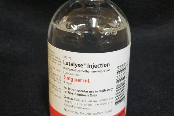 Lutalyse 100ml (20 doses) (PG)