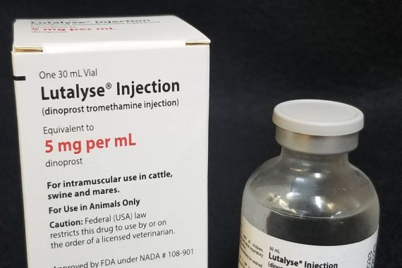 Lutalyse 30ml (6 doses) (PG)