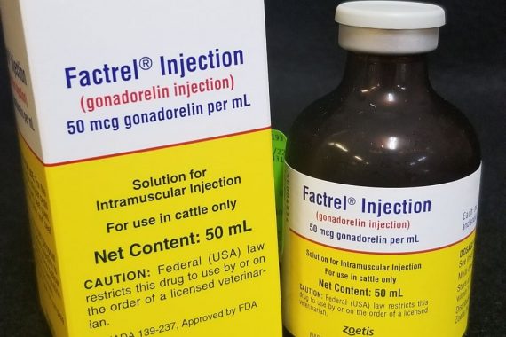 Factrel 50ml (25 doses) (GnRH)