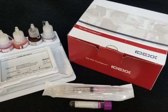 IDEXX Alertys Rapid Visual Pregnancy Test