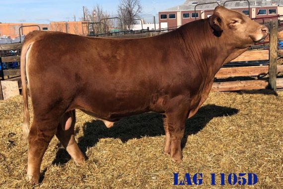 LAG 1105D ET