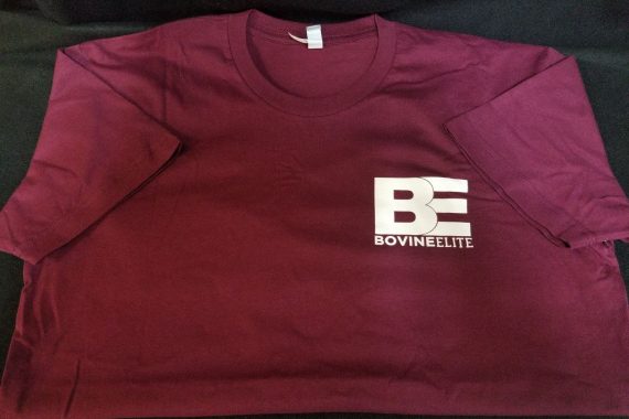 T-Shirt (Maroon)