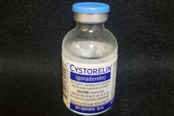 Cystorelin 30ml (15 doses) (GnRH)