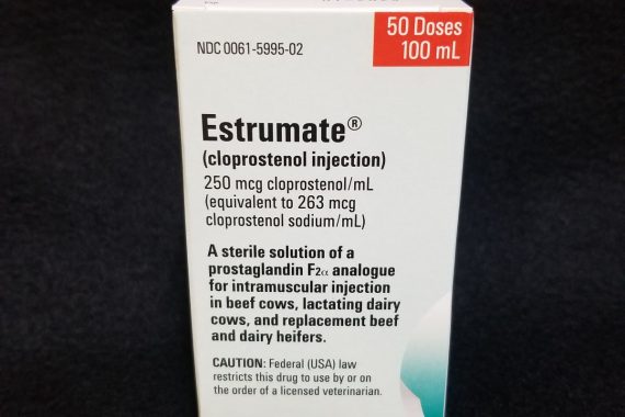 Estrumate 100ml (50 doses) (PG)