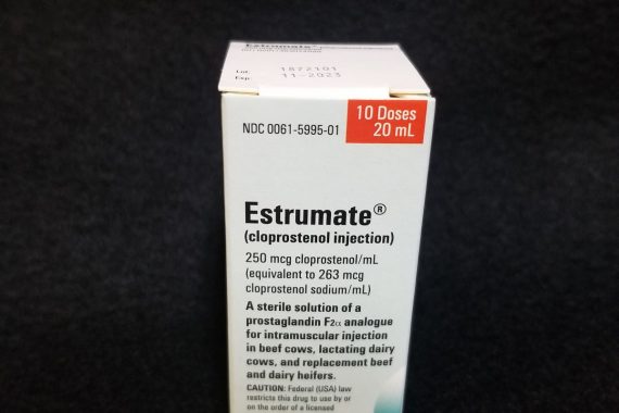 Estrumate 20ml (10 doses) (PG)