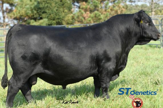 POSS Winchester (Certificate)