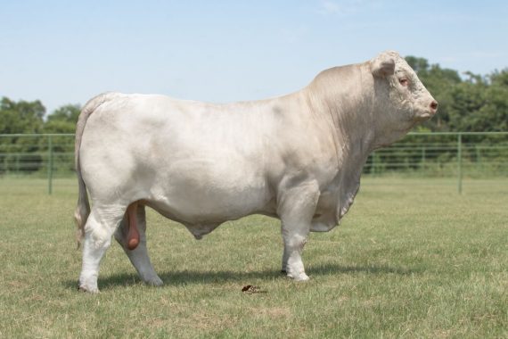 Lafraise Redempter 341C (Signing)