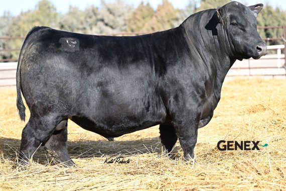 Baldridge Grindstone (Certificate)