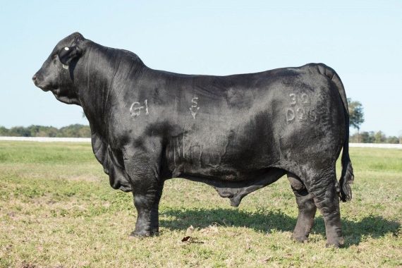 Suhns Business Line 30D26
